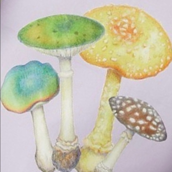 RODARTE LAVENDER MUSHROOM PRINTED SILK SATIN CAPE GOWN - Picture 10 of 16